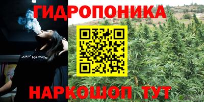 дурь Будённовск