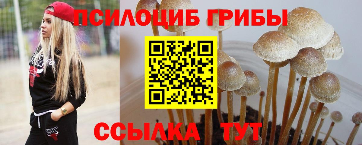 Медногорск  Псилоцибиновые грибы GOLDEN TEACHER  Псилоцибиновые грибы мухоморы  Вход с VPN 